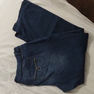 Cato 20W Hi Rise Jeans